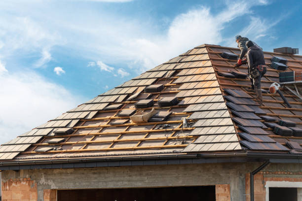 Best Skylight Installation and Repair  in Elkins Rk, PA