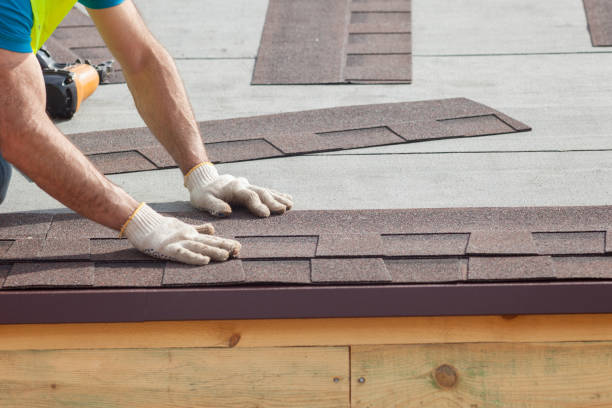 Best Green or Eco-Friendly Roofing Solutions  in Elkins Rk, PA