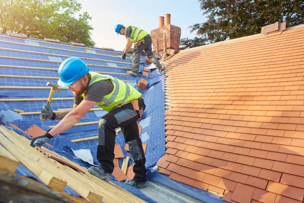 Best Gutter Installation and Repair  in Elkins Rk, PA